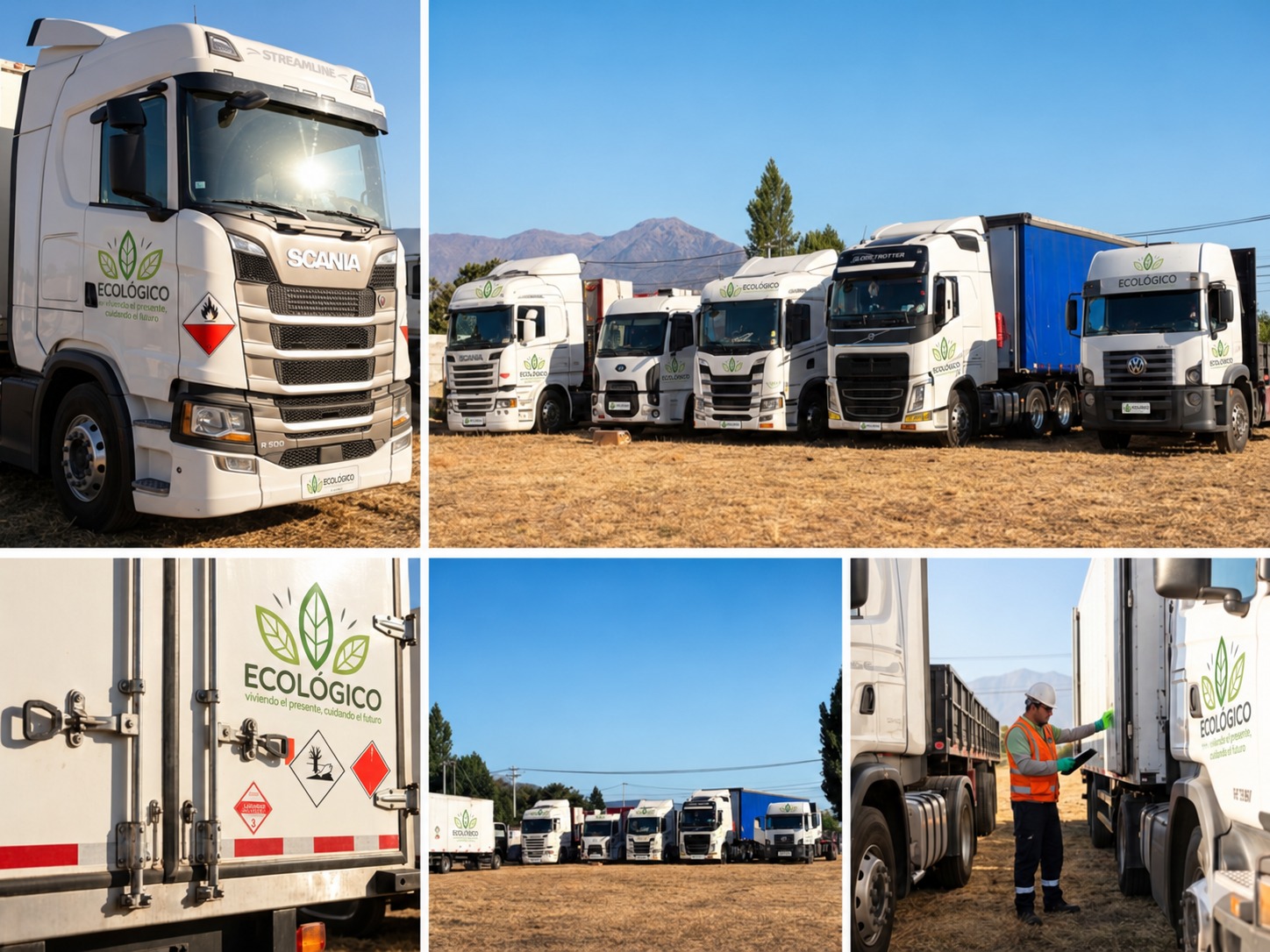 Flota y operaciones de Ecologico SPA